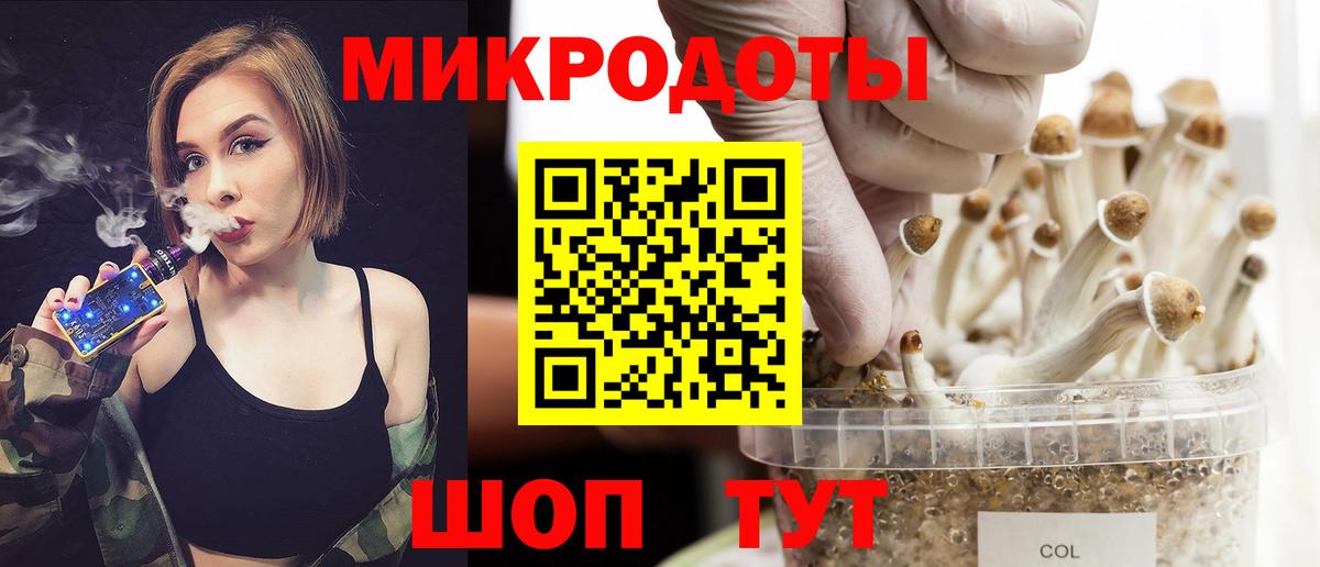 Галлюциногенные грибы Cubensis  Вход с VPN  Каменка 