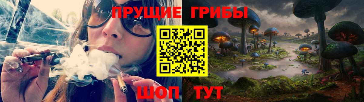 Галлюциногенные грибы Cubensis Каменка